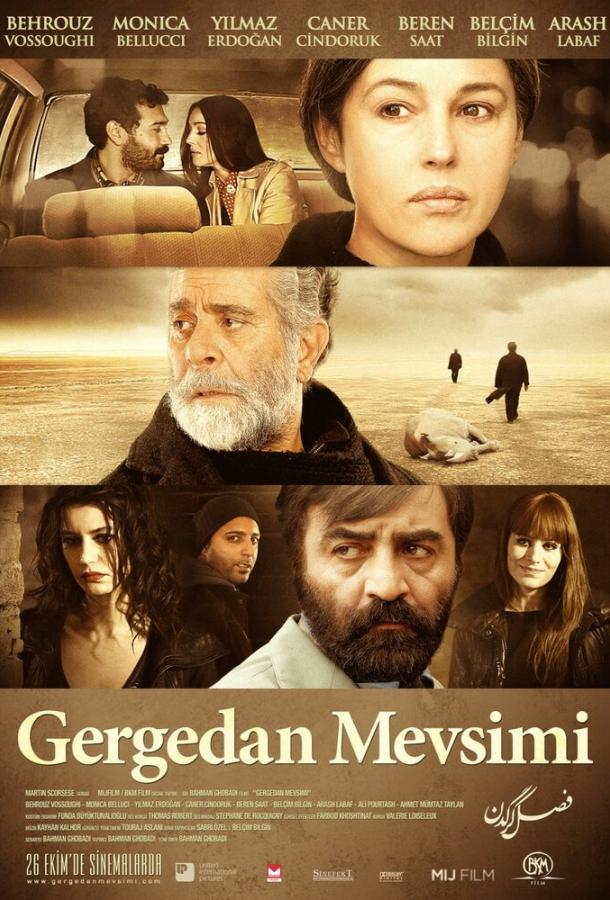 Сезон носорогов (2012) 