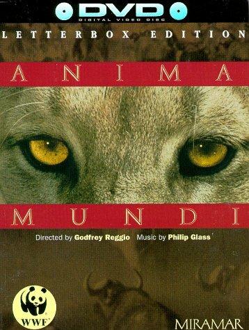 Душа мира (1991) 