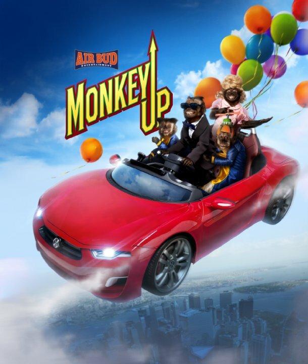 Миллионер Монти (2016) 