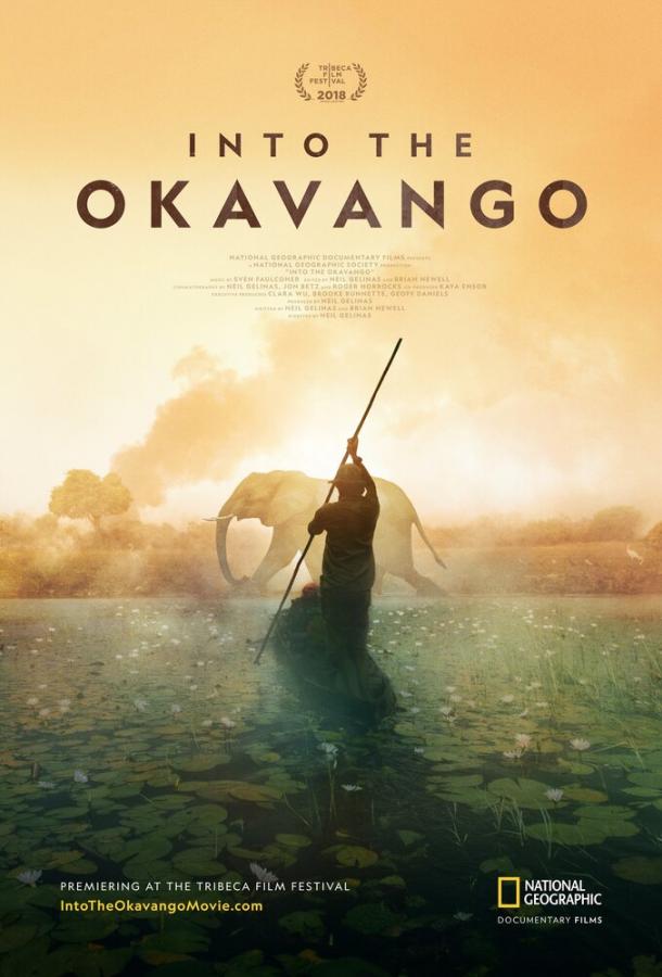 Далеко в Окаванго (2018) 