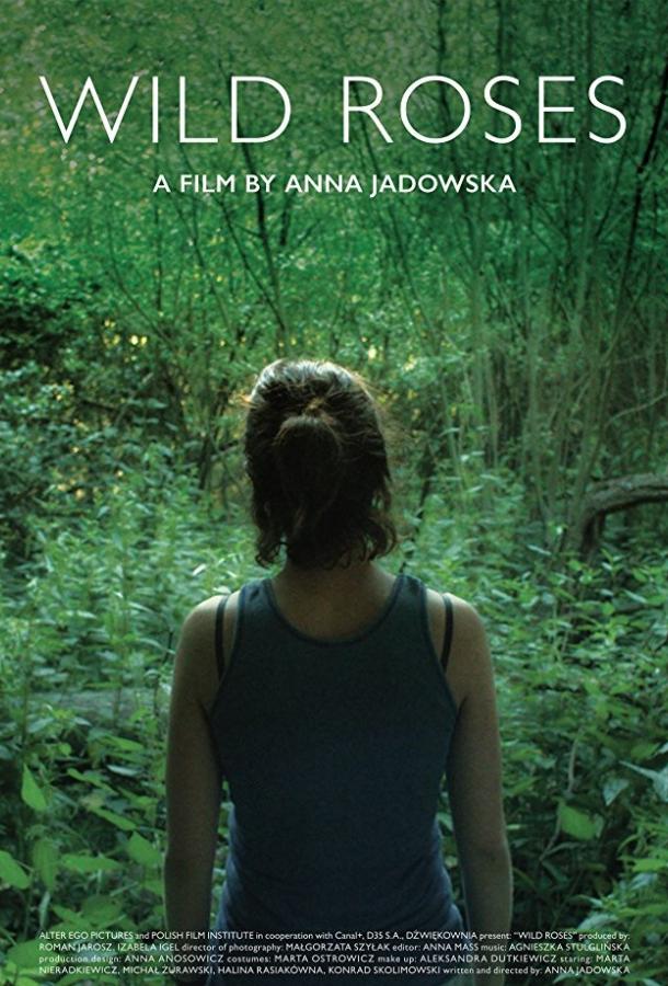 Дикие розы (2017) 