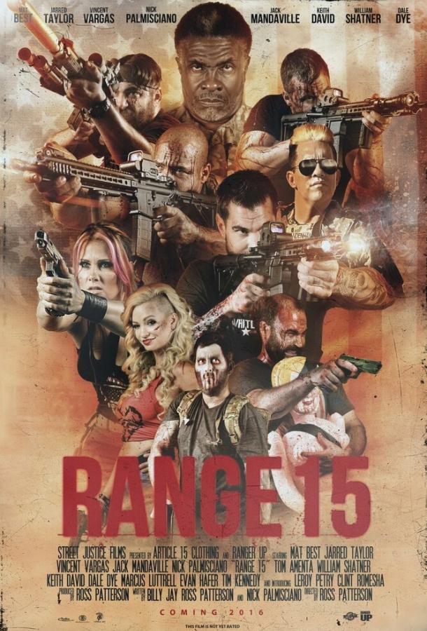 Диапазон 15 (2016) 