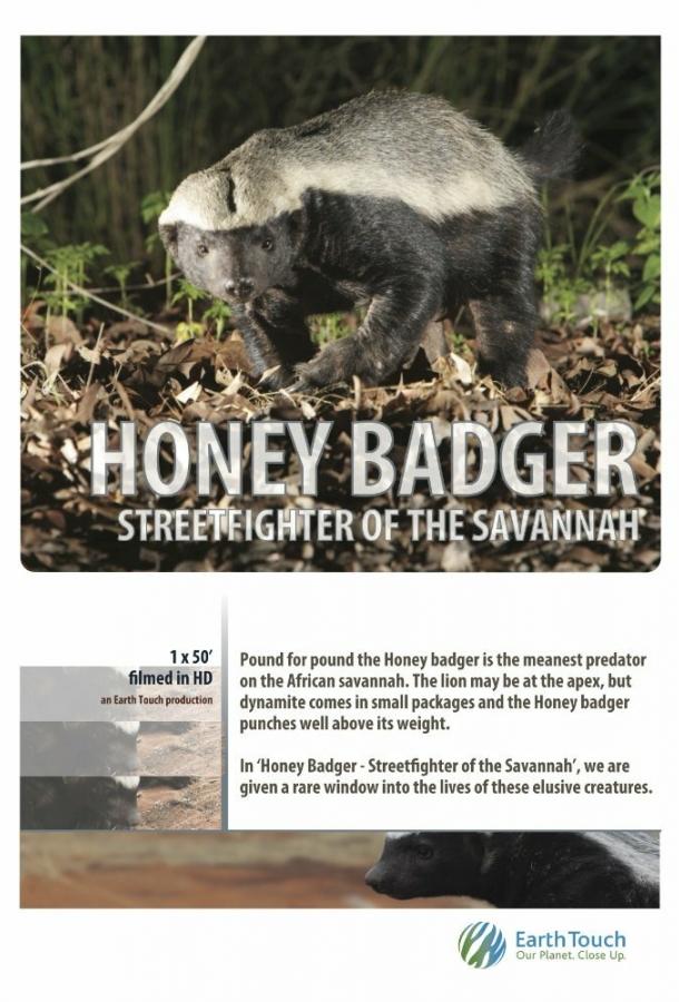 Ultimate Honey Badger (2013) 