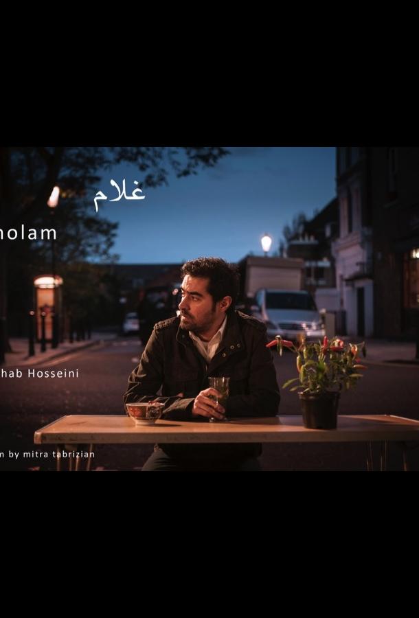 Gholam (2017) 