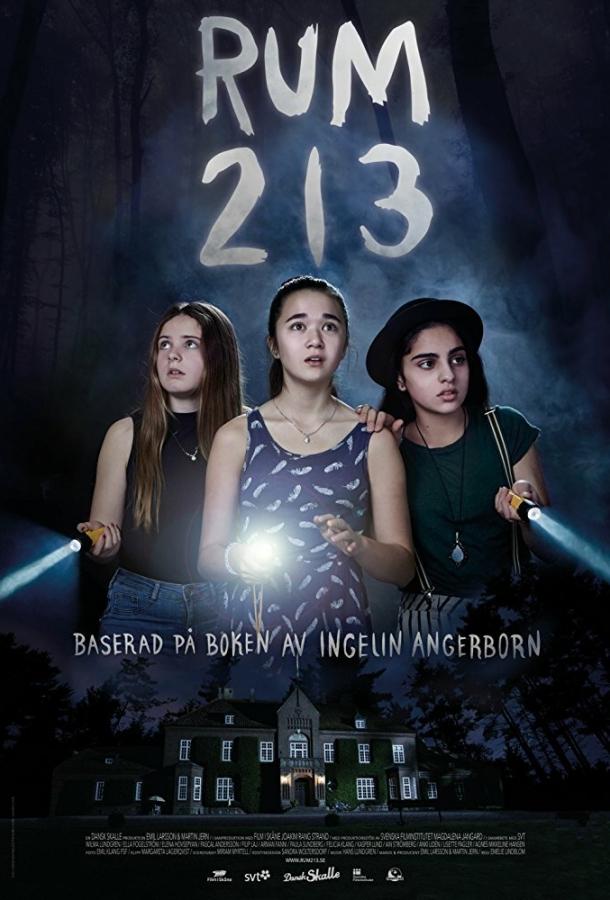 Комната 213 (2017) 