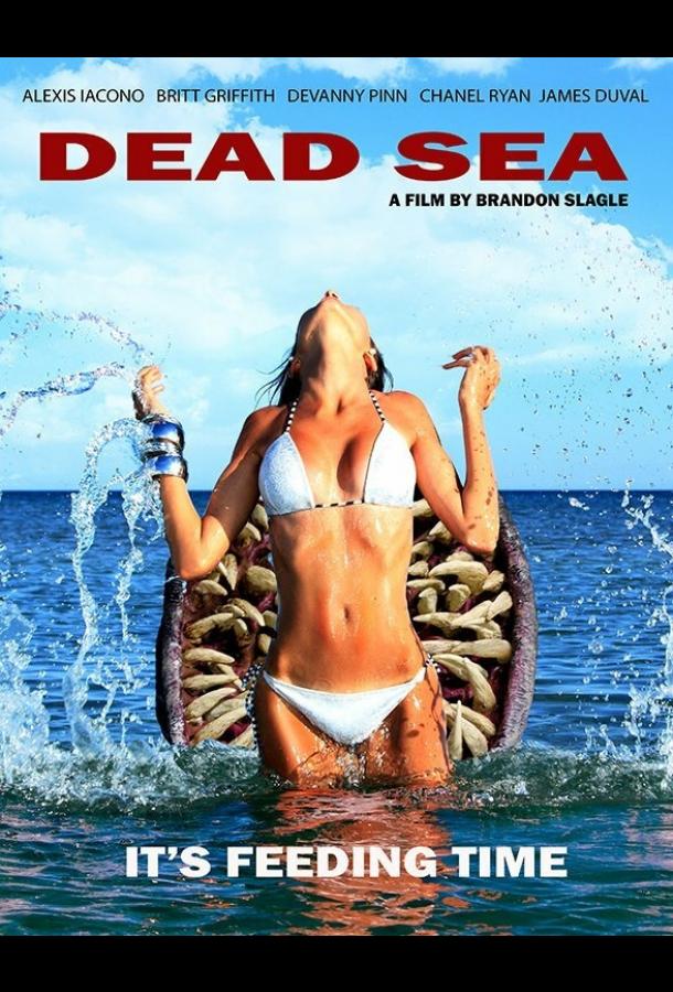 Мёртвое море (2014) 