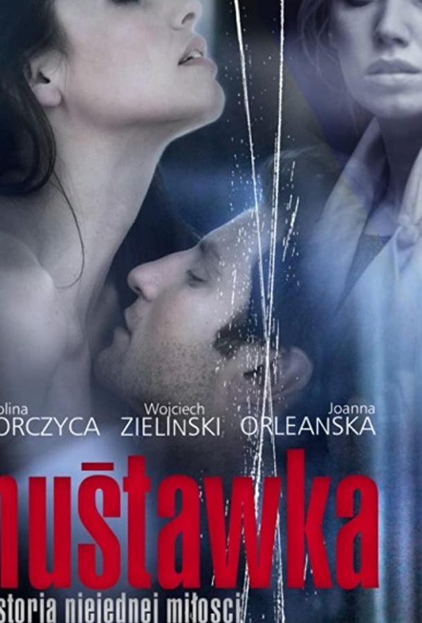 Качели (2010) 