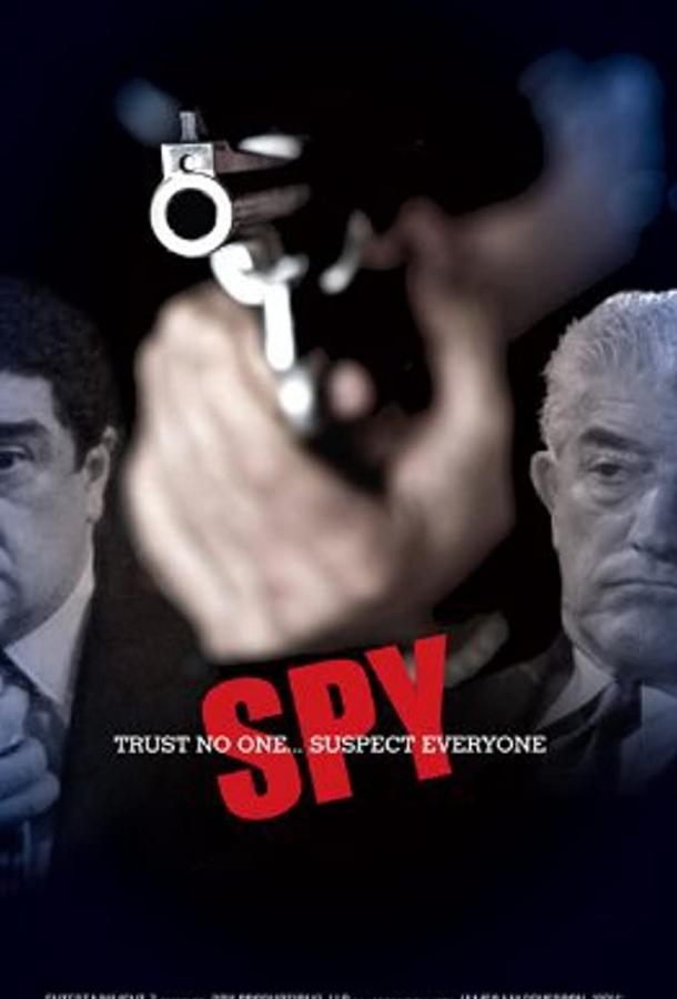 Шпион (2011) 