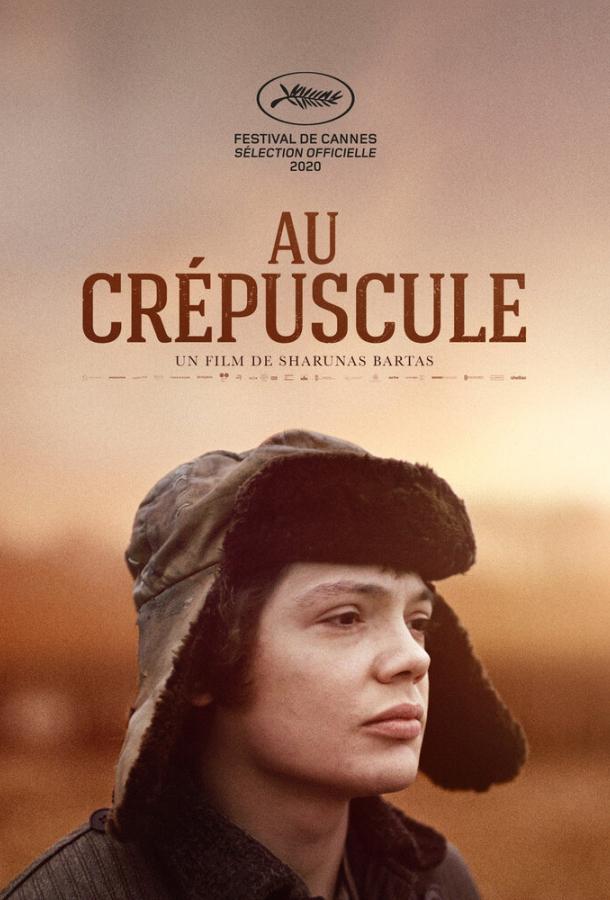 В сумерках (2019) 