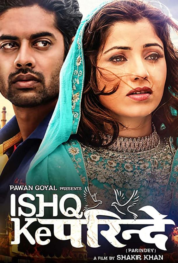 Любовь не знает границ (2015) 