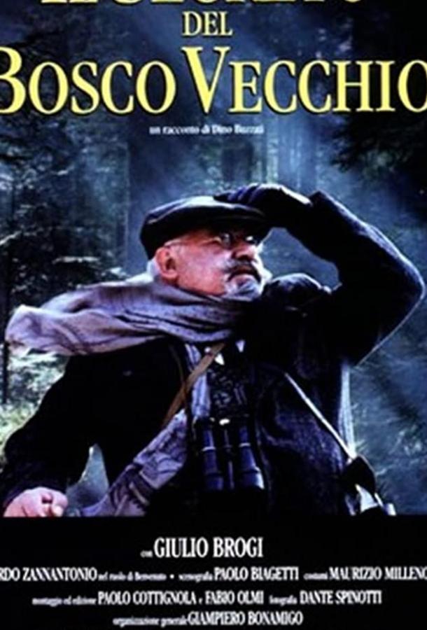 Тайна старого леса (1993) 