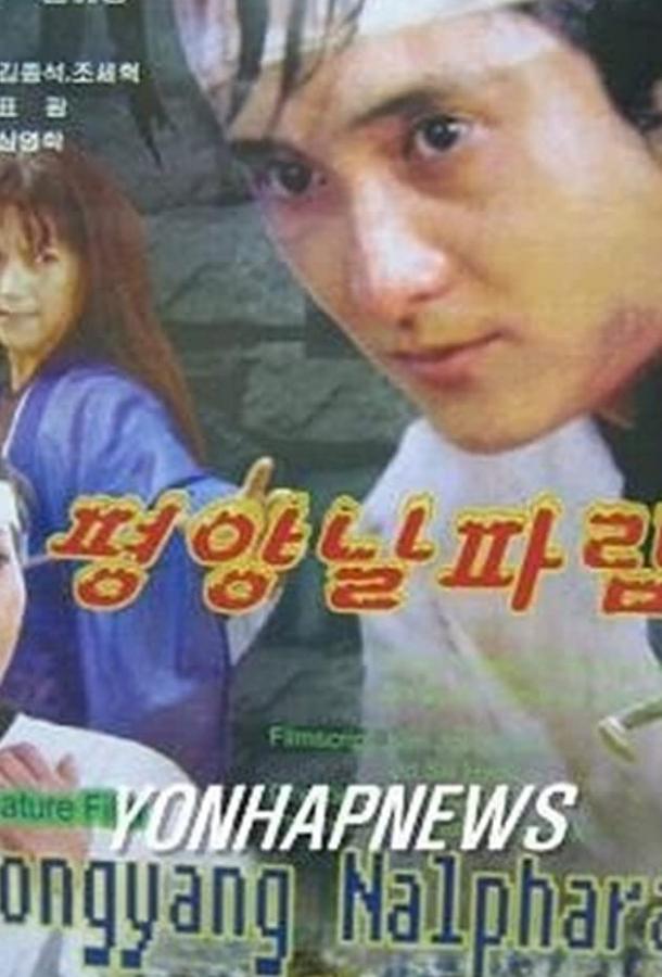 Пхеньян нальпхарам (2006) 