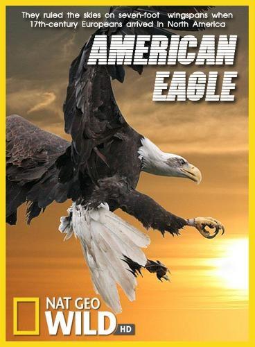 National Geographic. Белоголовый орлан (2009) 