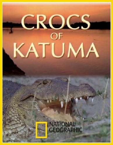 Крокодилы Катумы