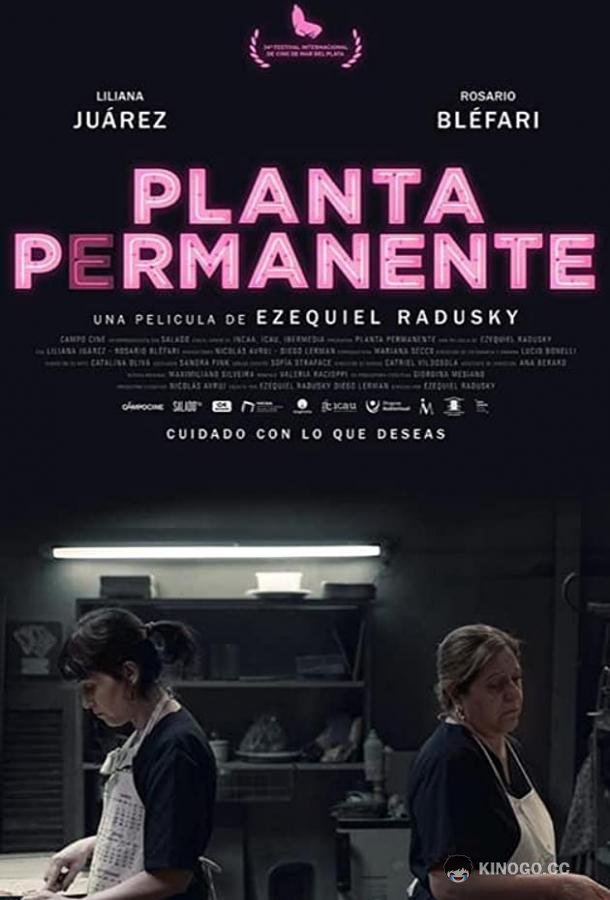 Столовая (2019) 