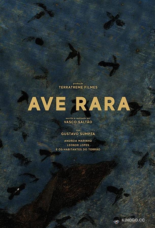 Редкая птица (2019) 