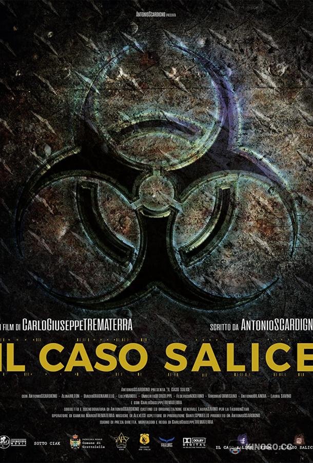 Дело Саличе (2020) 