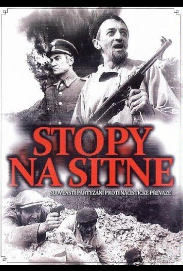 Следы ведут в пропасть (1968) 