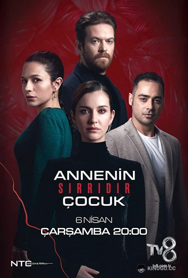 Ребенок - Тайна Матери (2022) 1 сезон 26 серия
