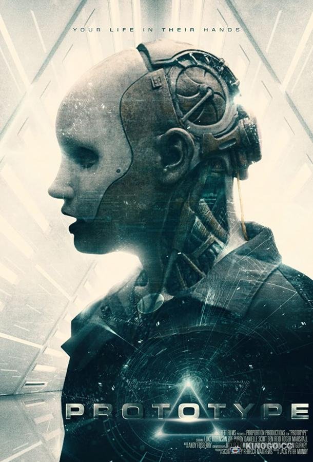 Опытный образец (2022) 