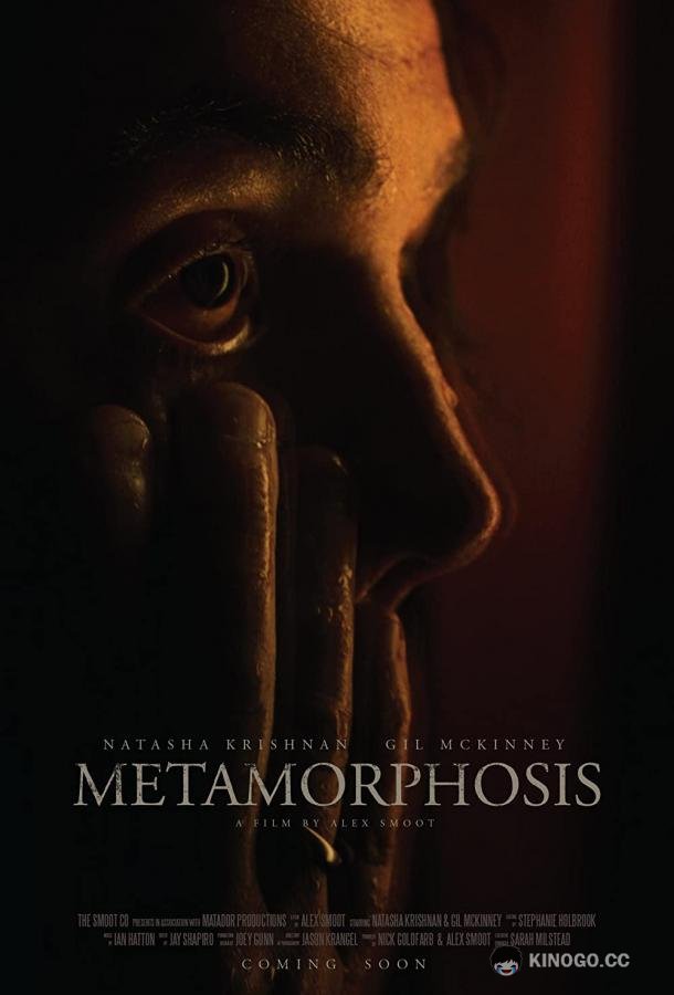 Метаморфозы Исмаилы Ба (2022) 