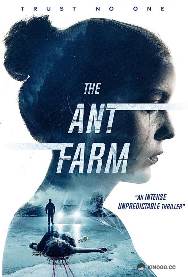 Муравьиная ферма (2022) 