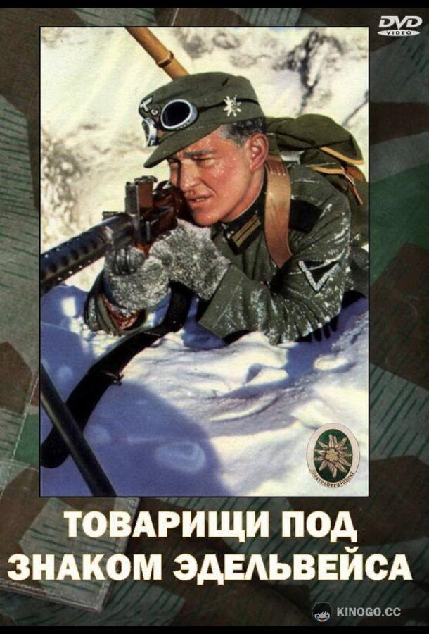 Товарищи под знаком «Эдельвейса» (1943) 