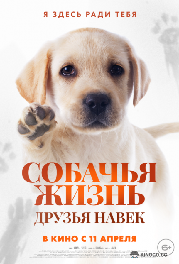 Собачья жизнь: Друзья навек (2023) 