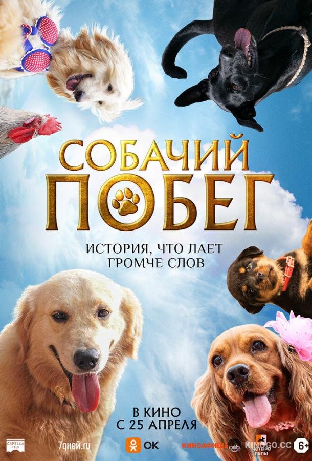 Собачий побег (2023) 