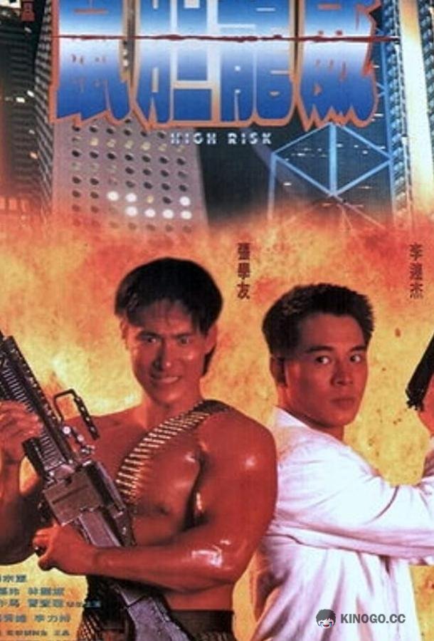 Степень риска (1995) 