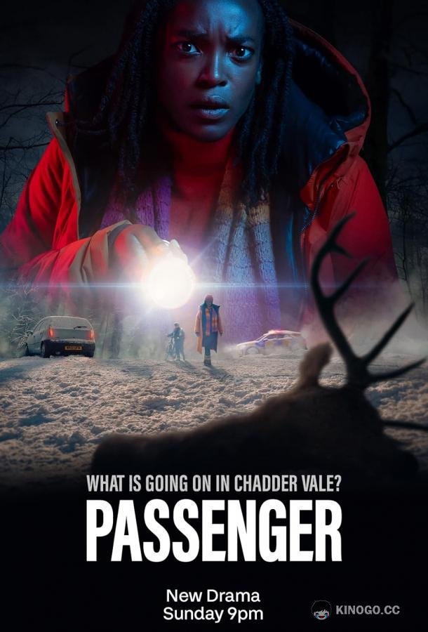 Пассажир (2024) 1 сезон 6 серия