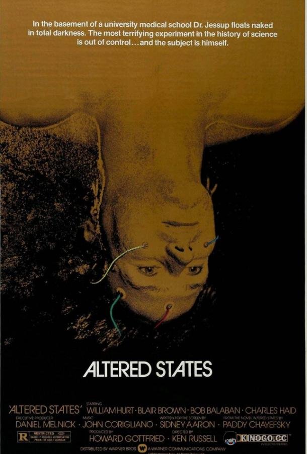 Другие ипостаси (1980) 
