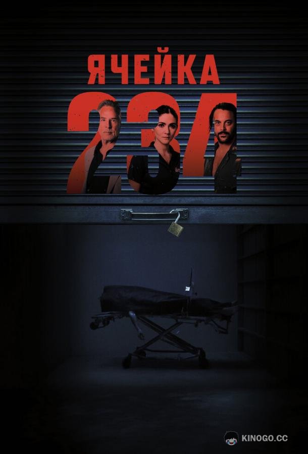 Ячейка 234 (2024) 