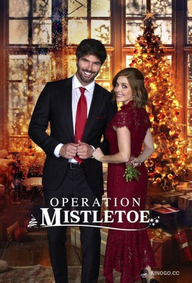 Операция "Омела" (2024) 