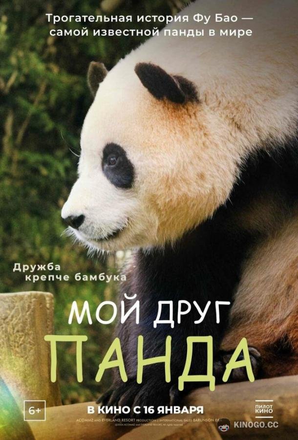 Мой друг панда (2024) 