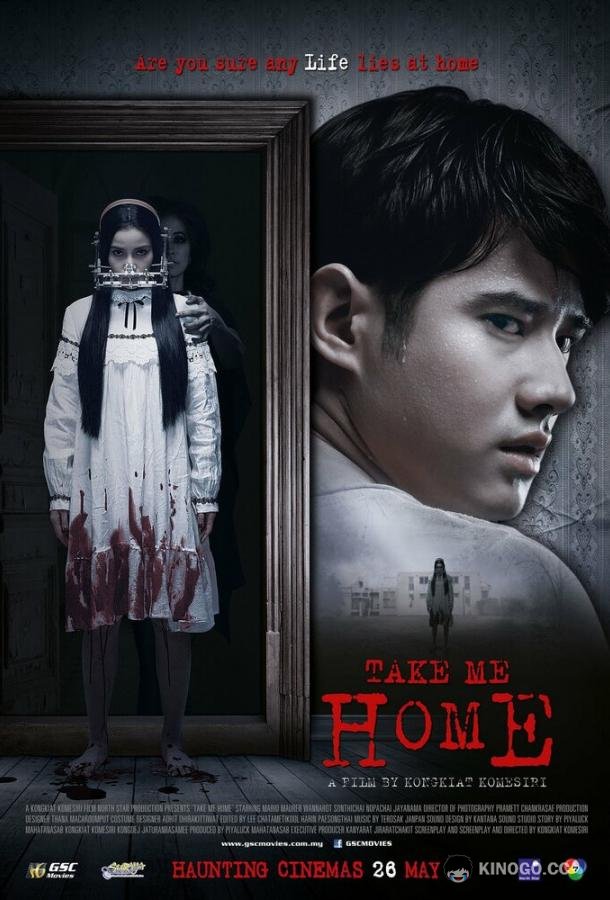 Забери меня домой (2016) 