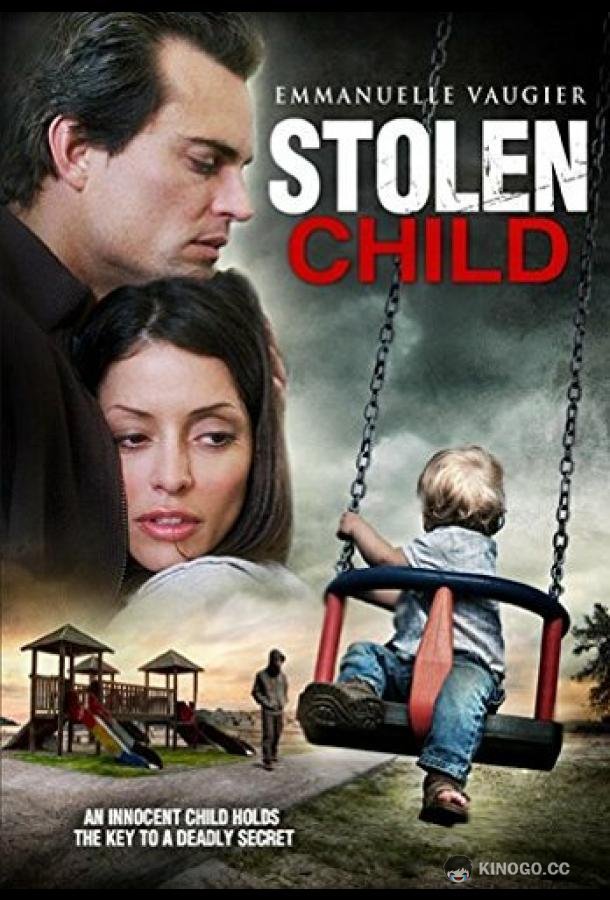 Похищенный ребёнок (2012) 