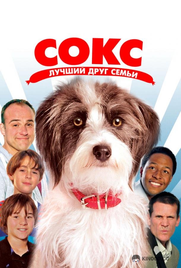 Сокс. Лучший друг семьи (2013) 
