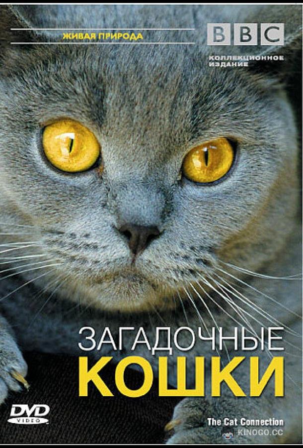 BBC: Загадочные кошки (2002) 