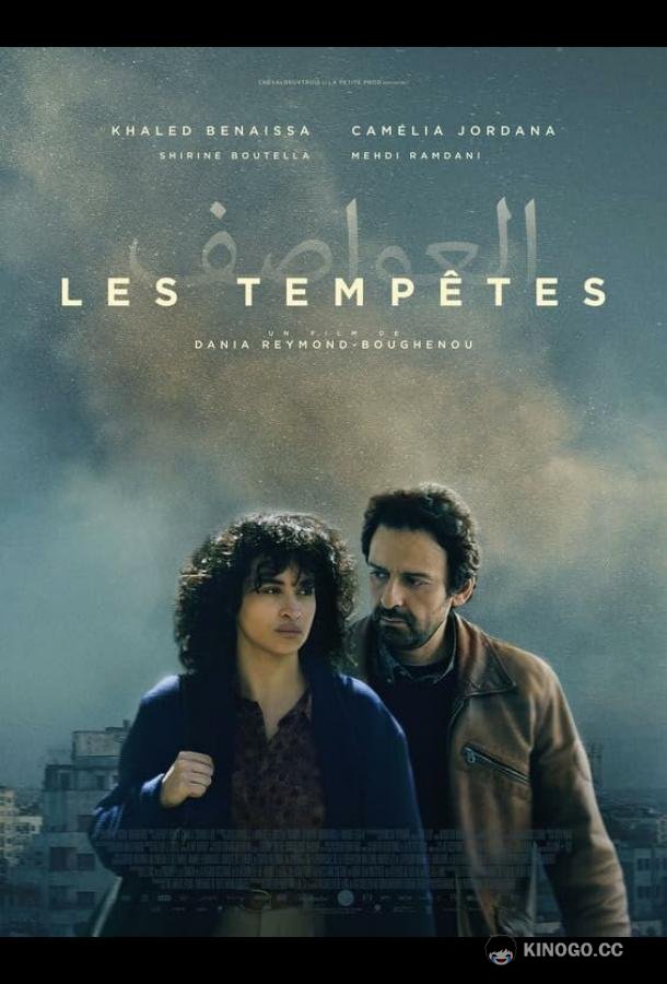Тихие бури (2024) 