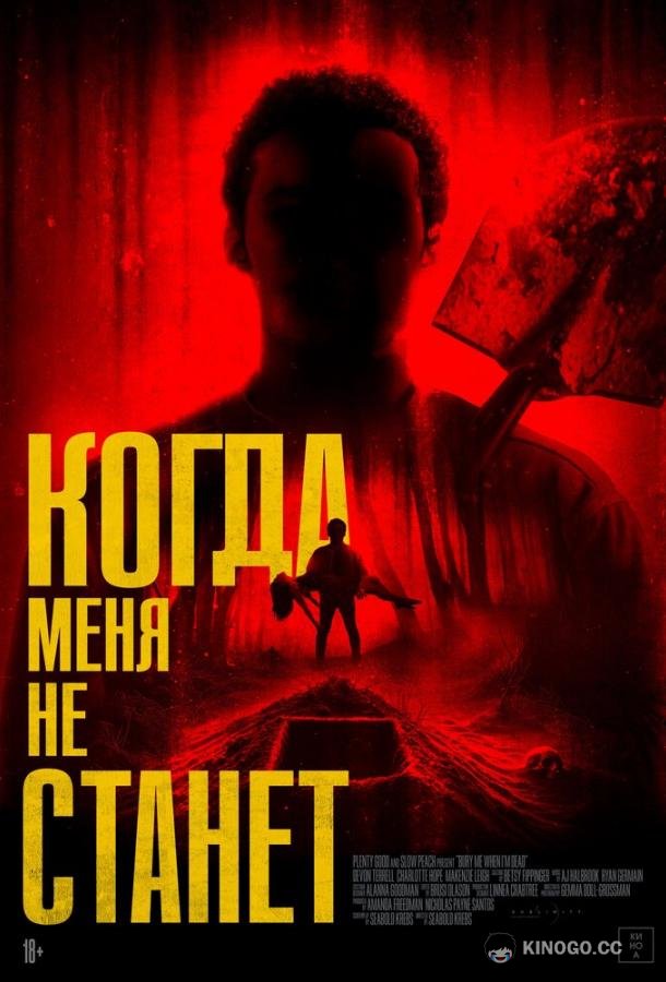 Когда меня не станет