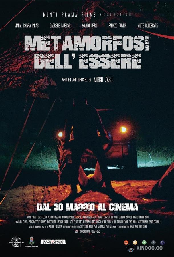 Метаморфоза бытия (2024) 