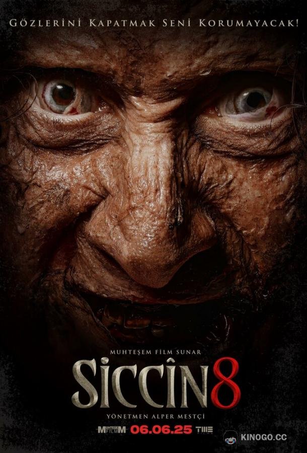 Сиджин 8 (2025) 