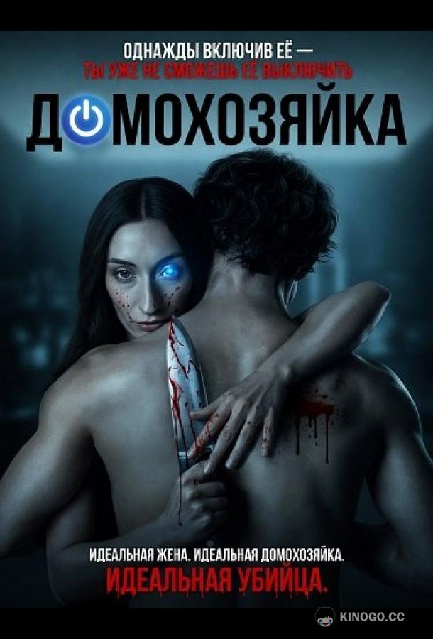 Домохозяйка (2026) 