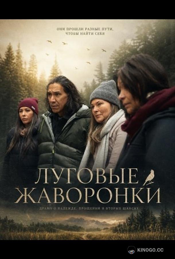 Луговые жаворонки (2025) 