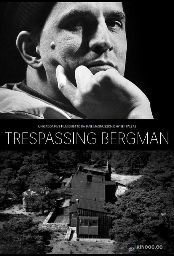 Вторжение к Бергману (2013) 