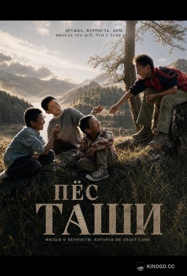 Пёс Таши (2024) 